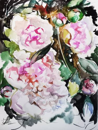 White peonies, watercolo painting thumb