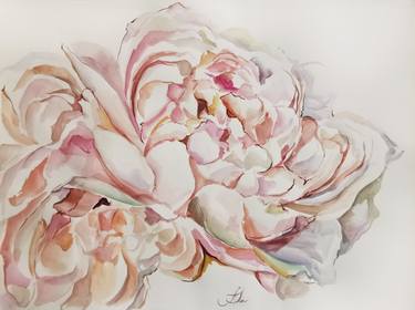 Rose peonies. Large watercolor flowers picture on paper thumb