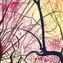 Detail 1