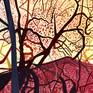 Detail 3