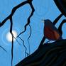 Robin Detail
