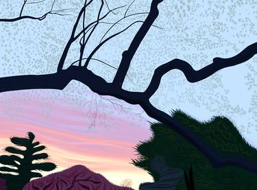 Original Contemporary Botanic Drawing by Evan Sklar