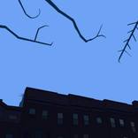 Brownstones At Dawn by Evan Sklar