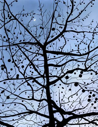 Original Fine Art Tree Digital by Evan Sklar