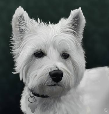 West highland Terrier thumb