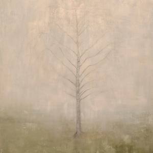 Collection Landscapes/Cityscapes