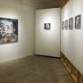 exhibition view