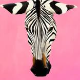 Pink Reaching by Weatherly Stroh
