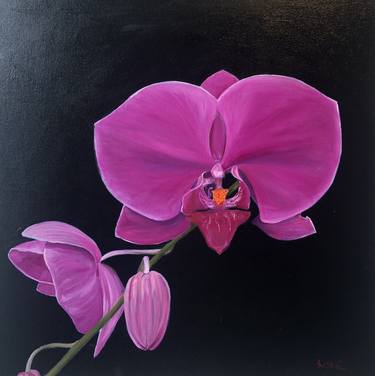 Original Fine Art Floral Paintings by Weatherly Stroh