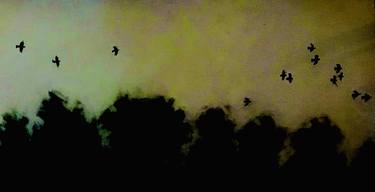 Crows at twilight thumb