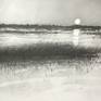 Wetlands Drawing by Ronald Vlasic | Saatchi Art