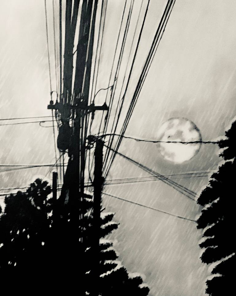 Original Documentary Landscape Drawing by Ronald Vlasic
