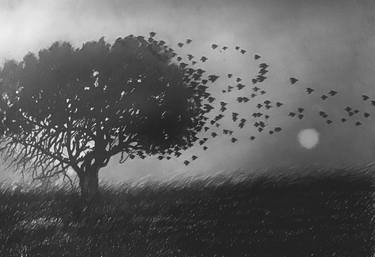 Original Conceptual Nature Drawings by Ronald Vlasic