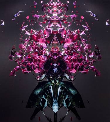 Original Floral Photography by Michael van Emde Boas