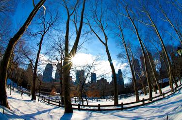 Print of Documentary Nature Photography by Sean Riley