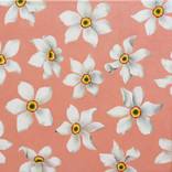 Collection Decorative Repetitive Patterns