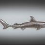 5 ft Metal Tiger Shark 3 Dimensional Made by UK metal artist
from mild steel cut shaped and welded using hand tools
coated with a clear coat gloss lacquer for a lasting piece
of fine art Supplied with hook and line for hanging