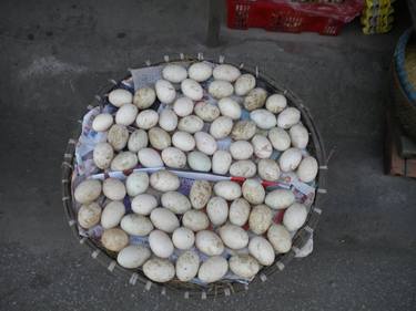 Duck Eggs, Vietnam 2013. thumb