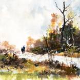 Collection Latest Landscapes 