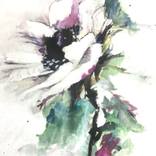 Collection Floral Delight