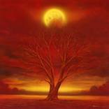The fiery moon by mark duffin