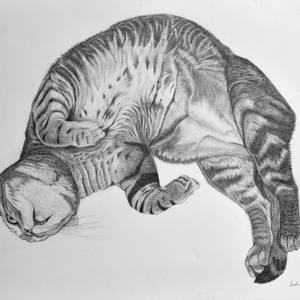 Wiley