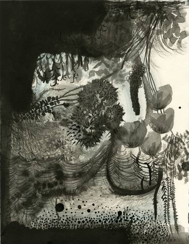 Print of Botanic Drawings by Shinichi Imanaka