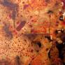 detail-3