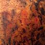 detail-1