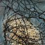 Detail - 1