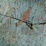 Detail - 4