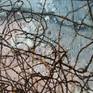 Detail - 2