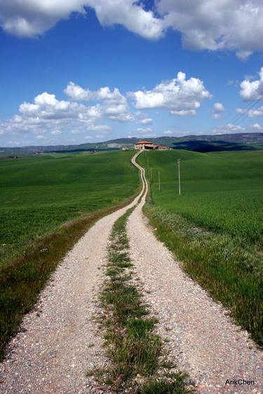 Path to the horizon in Tuscany Italy thumb