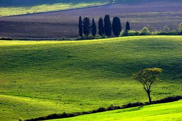 Tuscany Landscape thumb