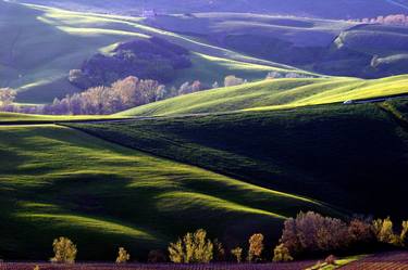 The Green Rolling Hills of Tuscany thumb