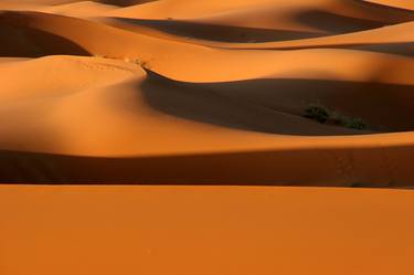 The Sahara Desert at Sunrise thumb