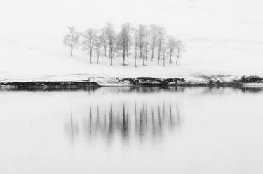 Print of Nature Photography by Ildikó Baranyi