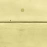 image taken from the video