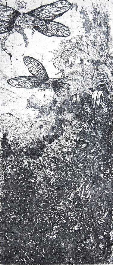 Original Garden Printmaking by Agnieszka Skopinska