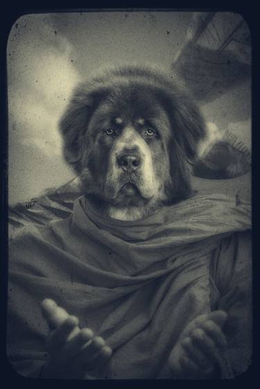 Tibetan Mastiff thumb