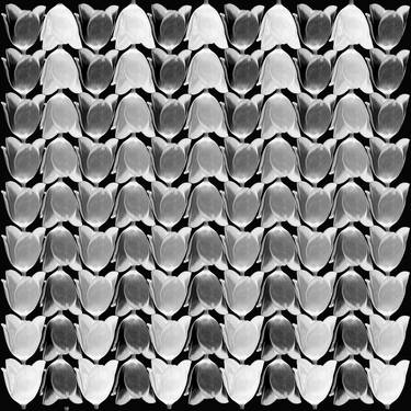 "Tulip Escher" Limited Edition, 1/10 thumb
