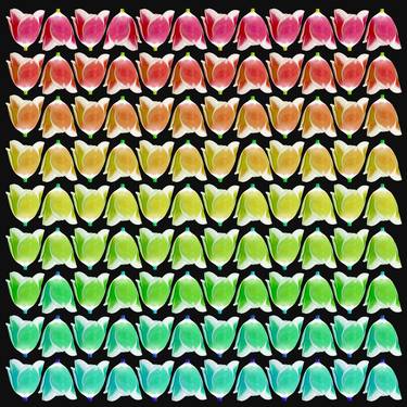 Multicolored Tulips  Limited Edition, 1/10 thumb