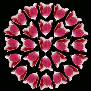 Circle of Tulips, Limited Edition, 1/10 thumb