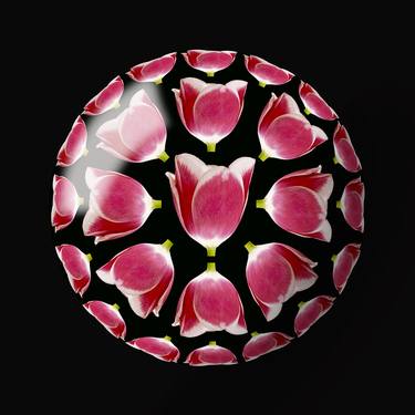 Tulips in Glass Sphere  Limited Edition 1/10 thumb