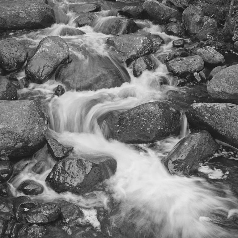 Bear Brook (Classic Black and White Photograph) Photography by Russ