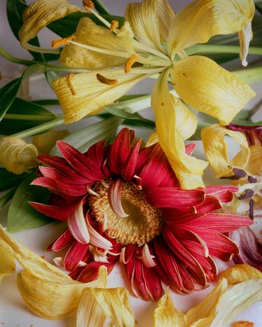 Original Fine Art Floral Photography by Russ Martin