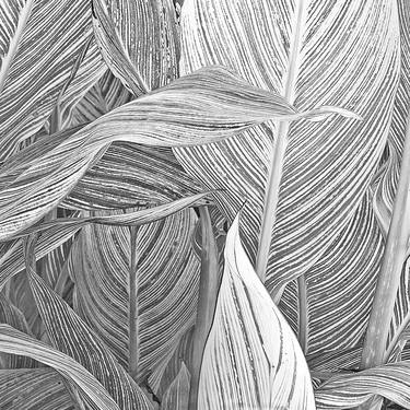 Canna Leaf Collage, Ltd.Ed. Ltd. Ed. 1/10 thumb