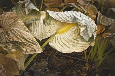 Original Fine Art Botanic Photography by Russ Martin