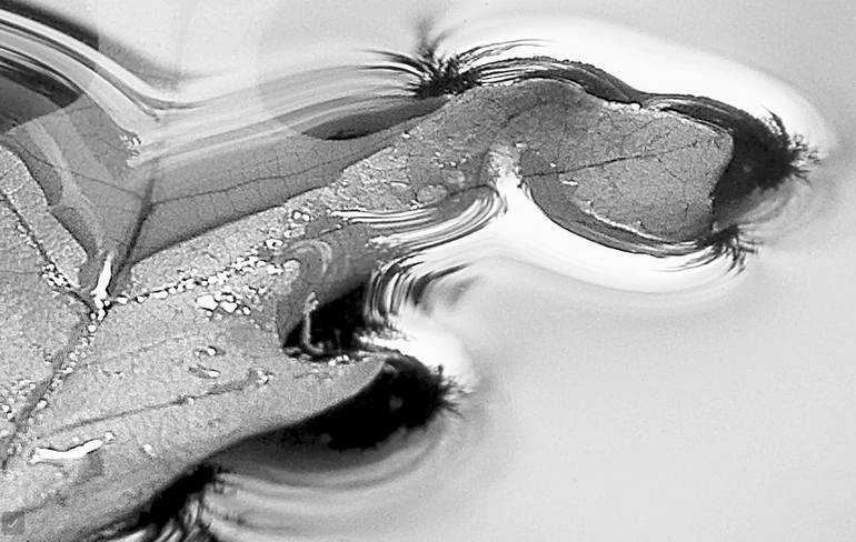 Original Realism Landscape Photography by Marcia Schulman Martin