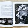 "Monthly Photography" (Korea); Feature